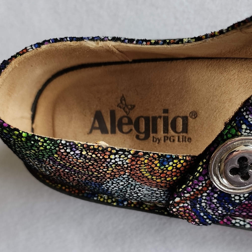 Alegria Multicolor Patterned Flats - image 2